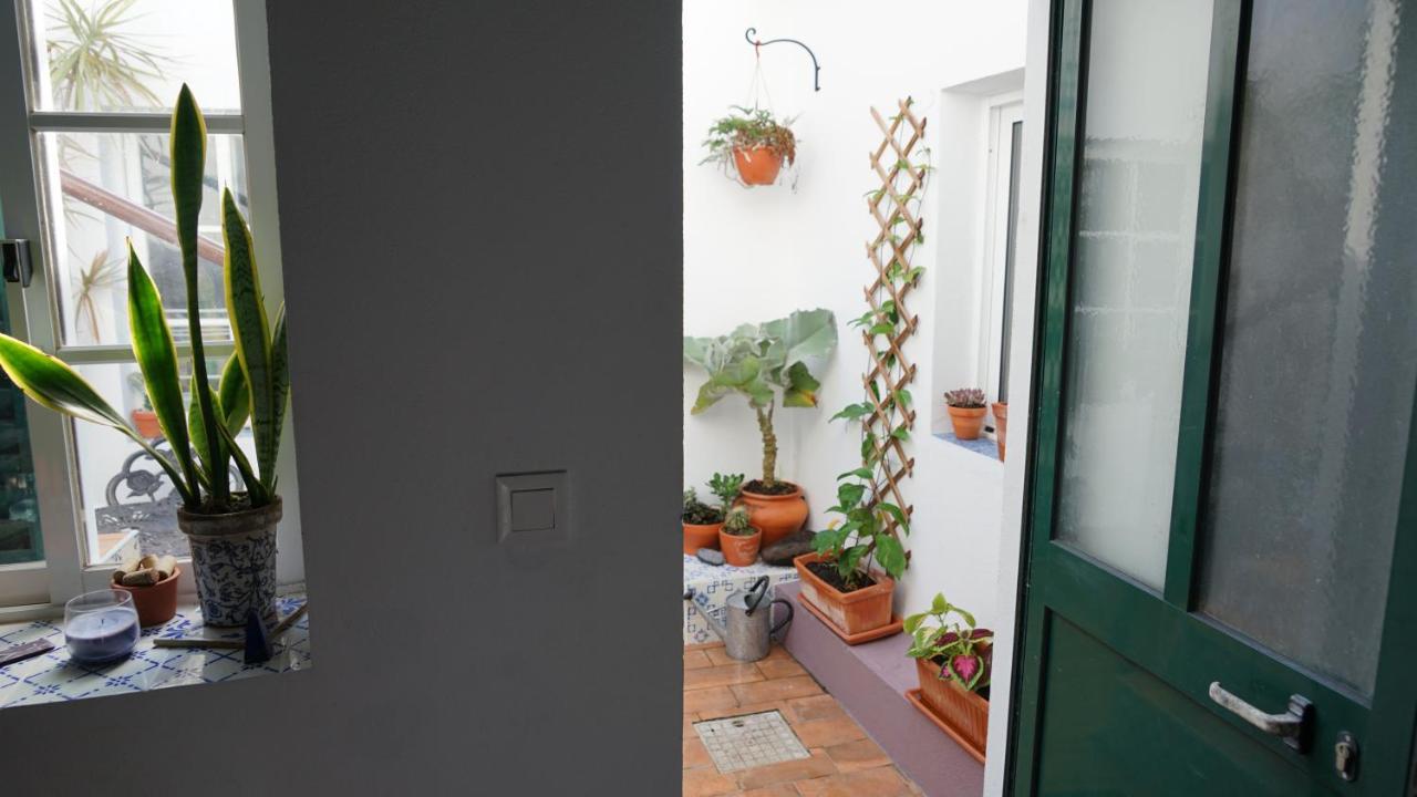 Casa Volta Do Mar Βίλα Horta  Εξωτερικό φωτογραφία